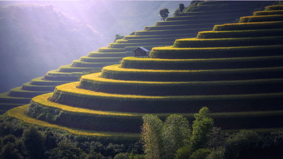 How to Create a Personal Growth Plan That You’ll Actually Follow