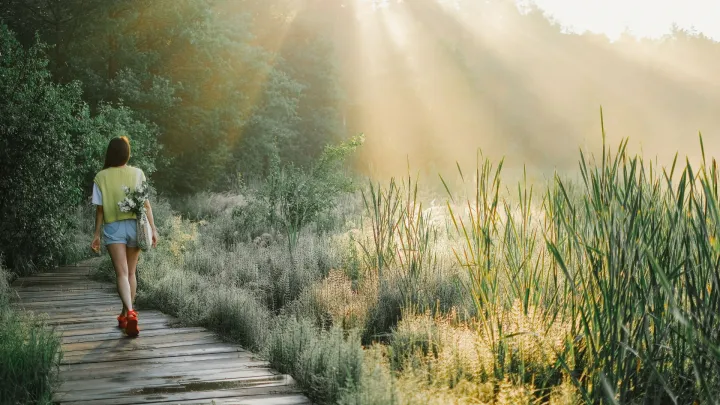 How to Find Beauty in Ordinary Life